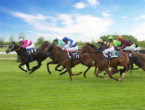 horses running at newmarket today.